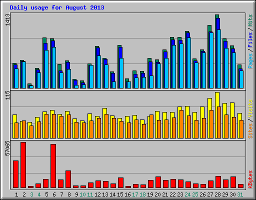 Daily usage for August 2013
