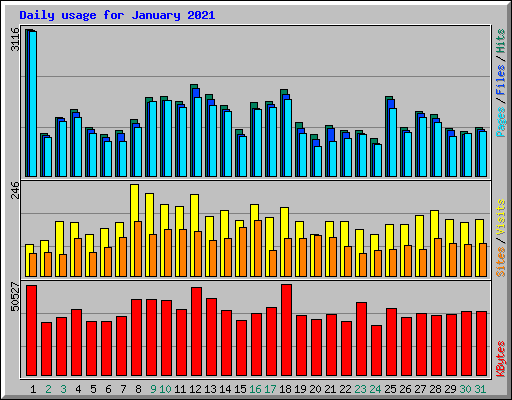 Daily usage for January 2021