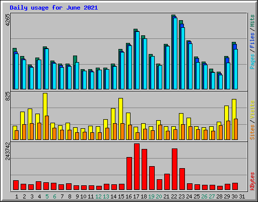 Daily usage for June 2021
