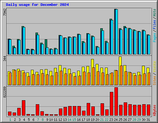 Daily usage for December 2024