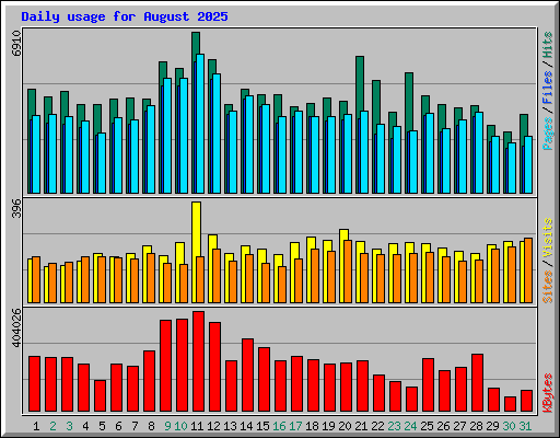 Daily usage for August 2025