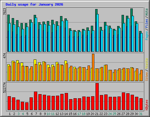Daily usage for January 2026