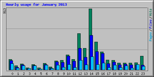 Hourly usage for January 2013
