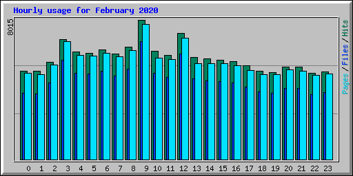 Hourly usage for February 2020