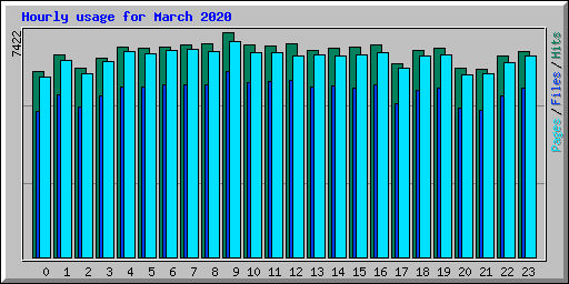 Hourly usage for March 2020
