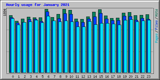 Hourly usage for January 2021