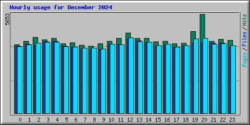Hourly usage for December 2024