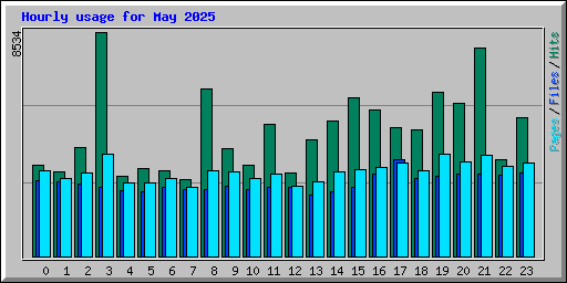 Hourly usage for May 2025