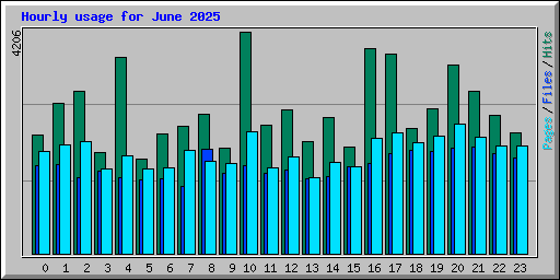 Hourly usage for June 2025
