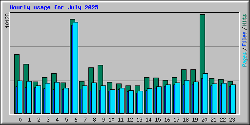 Hourly usage for July 2025