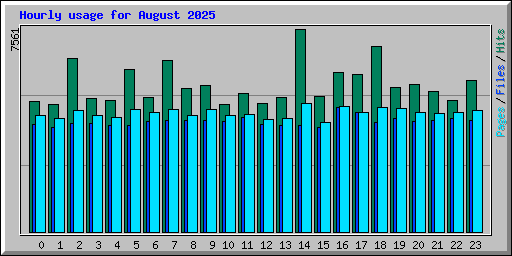 Hourly usage for August 2025