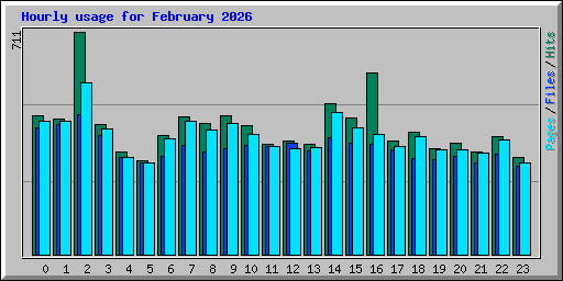 Hourly usage for February 2026