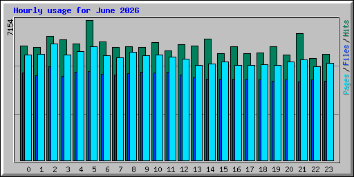 Hourly usage for June 2026