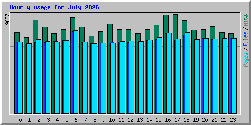 Hourly usage for July 2026
